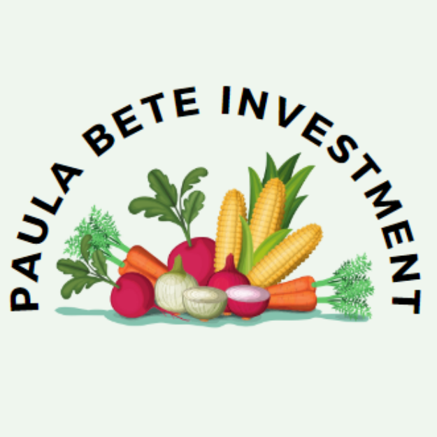 Paula Bete Investment